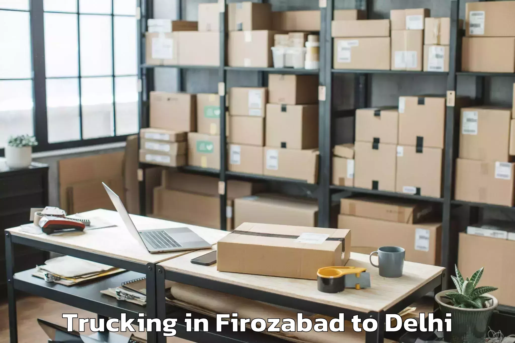 Hassle-Free Firozabad to Vasant Vihar Trucking